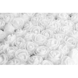 copy of Троянди з фоамірану 35мм